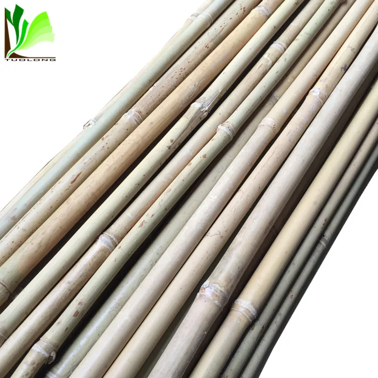 liberty bamboo ski poles 120