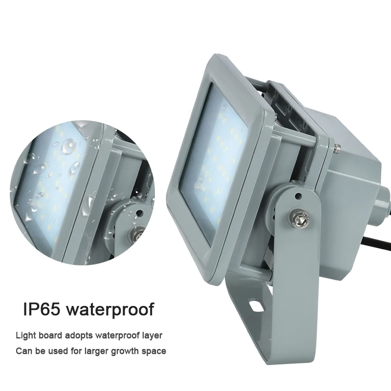 Hot Sale IP66 200W Explosive Proof  Emergency Explosion Proof Light Explosion Proof Lamp for Chemical Industry