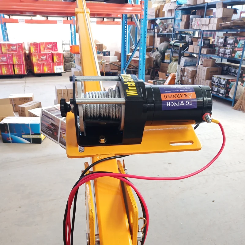Mini Lifting 1000 Electric Small Mini Truck Crane For Car Pick Up Goods Manufacturer Crane Arm