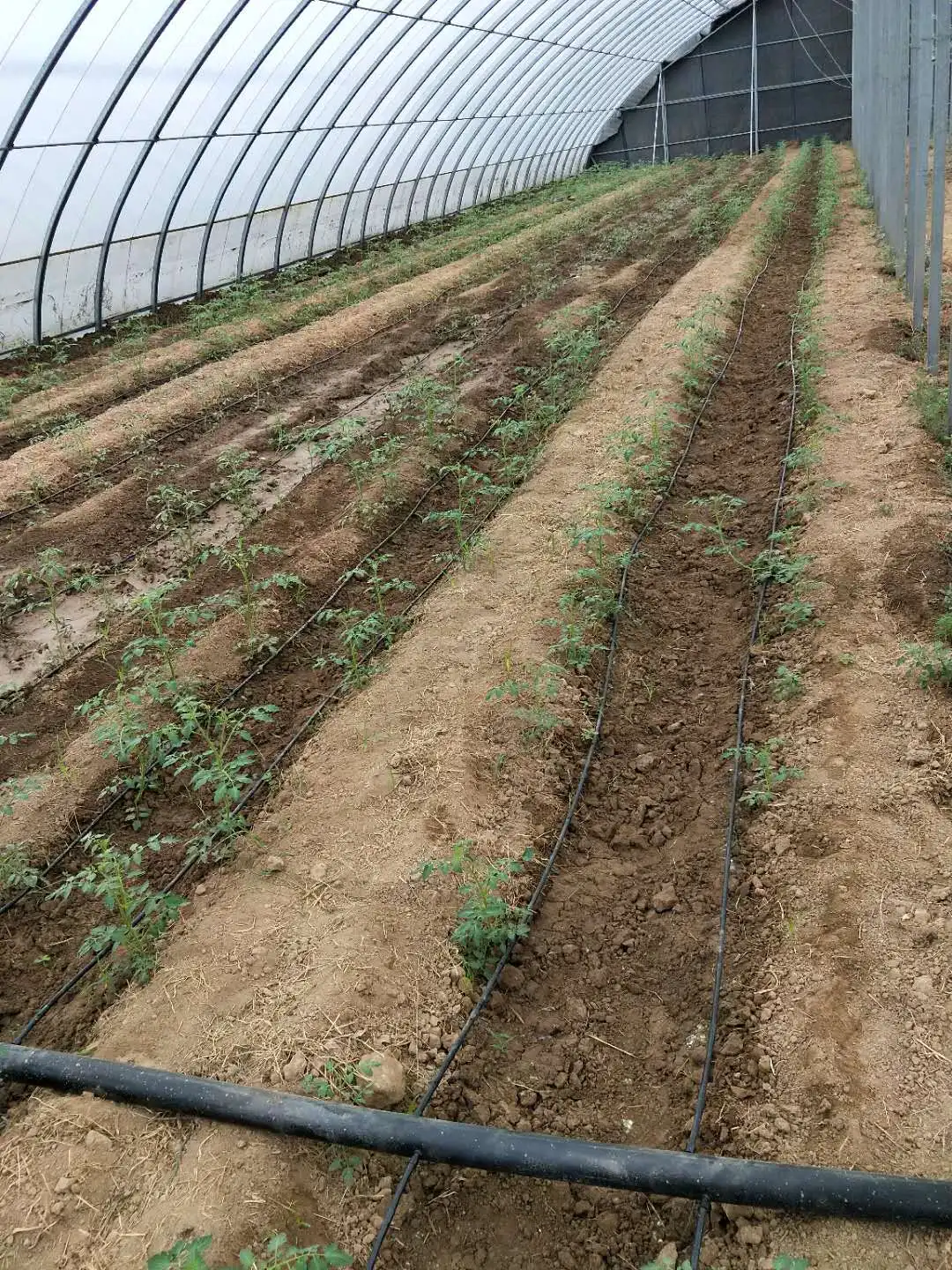 farm irrigation system simple water and fertilizer machine irrigation equipments automatic irrigation system