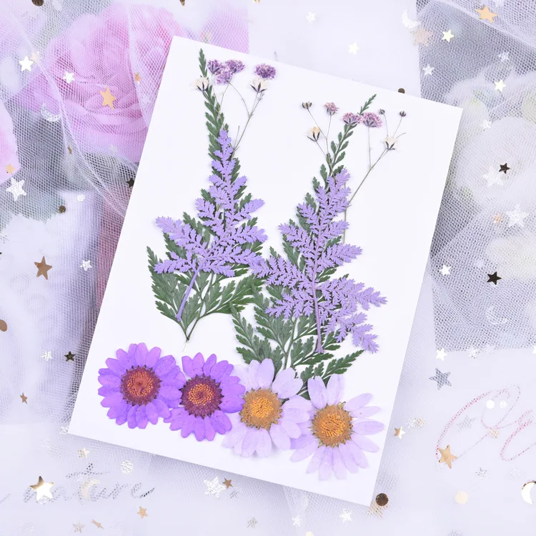 2022 best selling dried flower embossed material embossed really natural plant specimens for bookmark mobile phone case