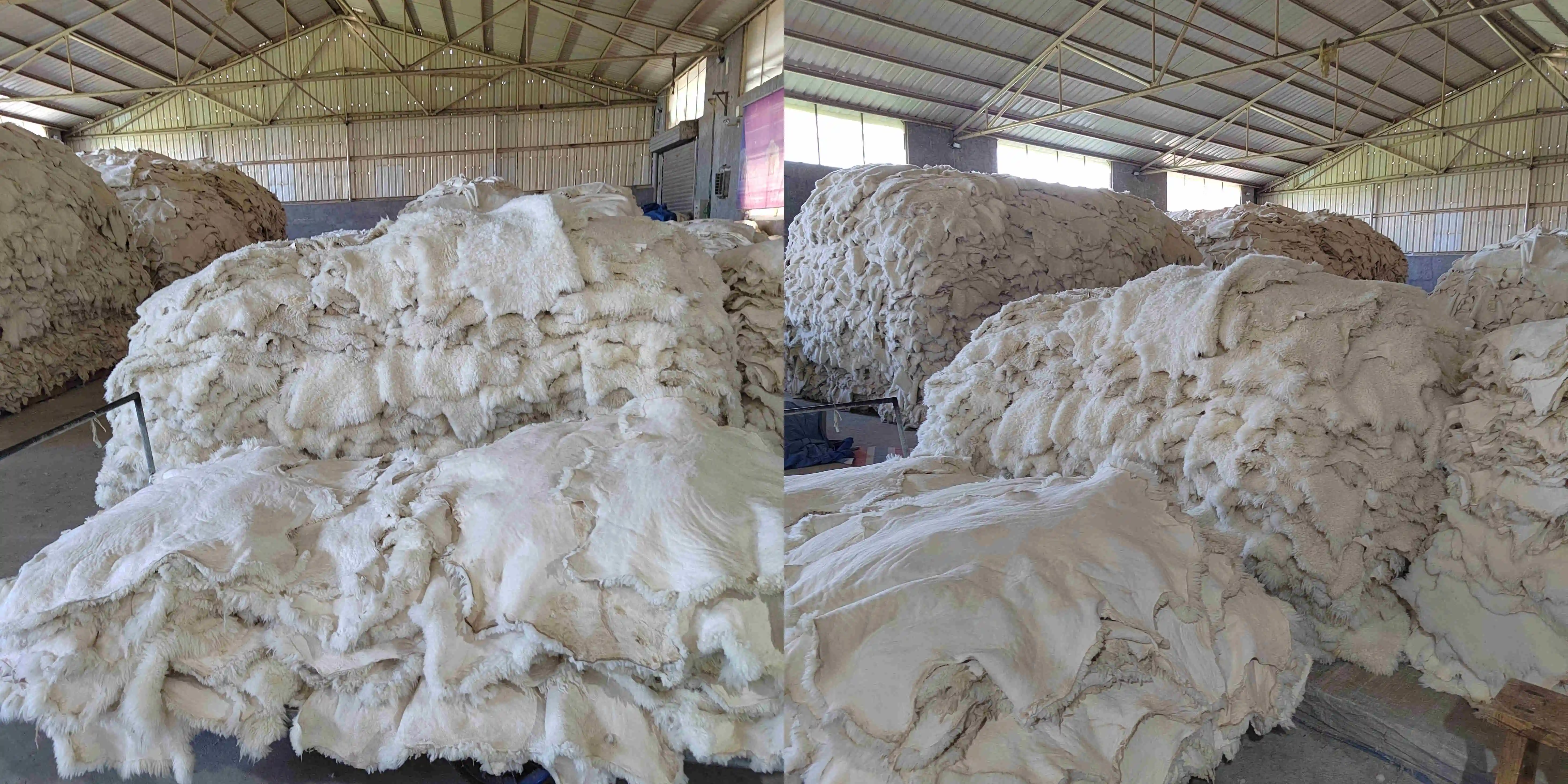 AUSTRALIAN sheepskin (1)