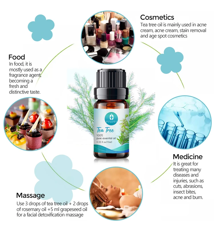 Factory wholesale bulk free sample tea tree essential oil private label pure natural undiluted tea tree oil for skin care