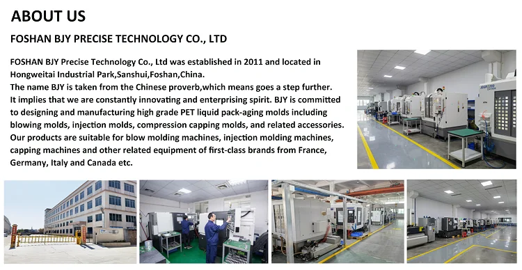 Company Information.png