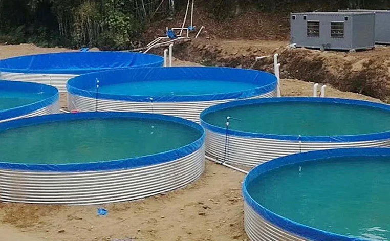 Tilapia Fish Growing Container Tank10000liter Water Tank Fishing Pond Plastic Pond For Fish Farming Tank