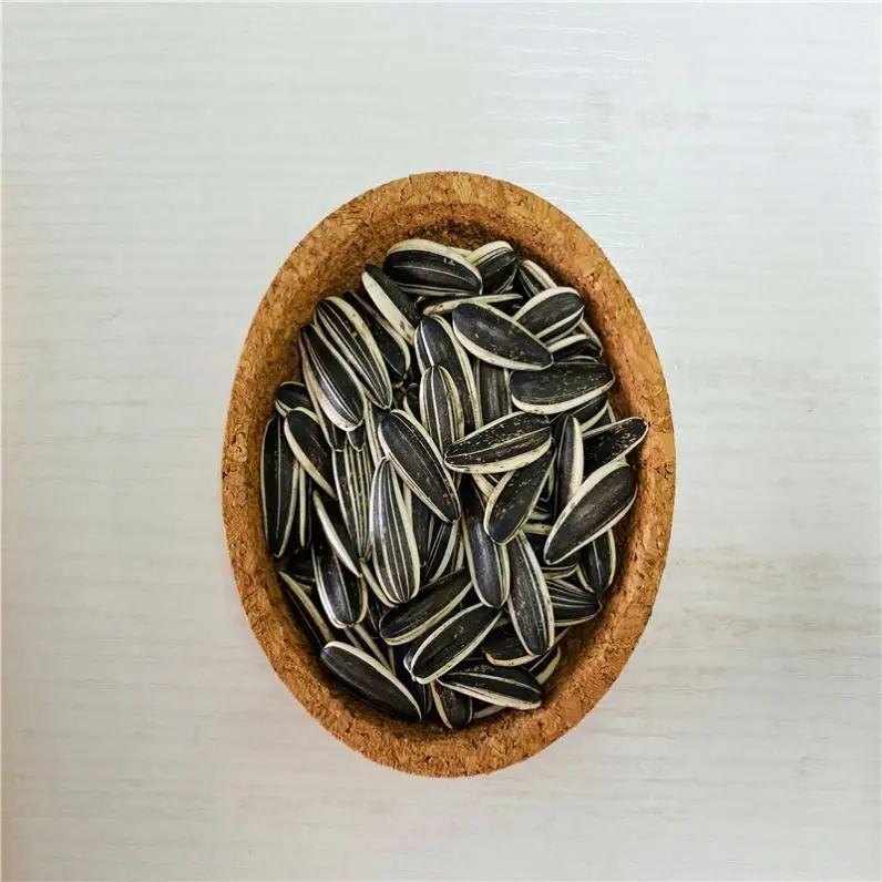 Оборудование для уборки семян подсолнечника