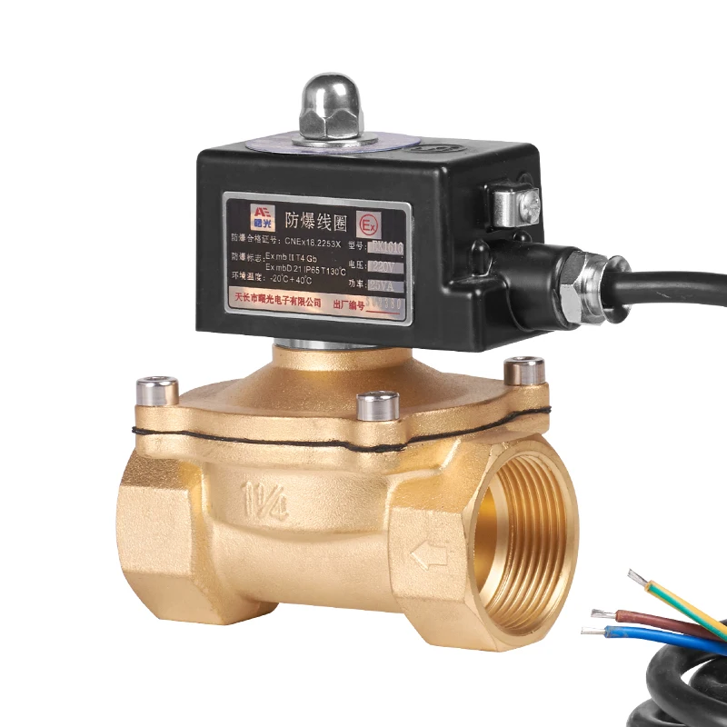 DN25 DN50 NPT threaded connection High temperature normally closed solenoid valve High quality explosion-proof solenoid valve