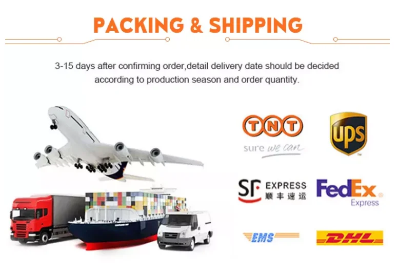 packing and shipping.png