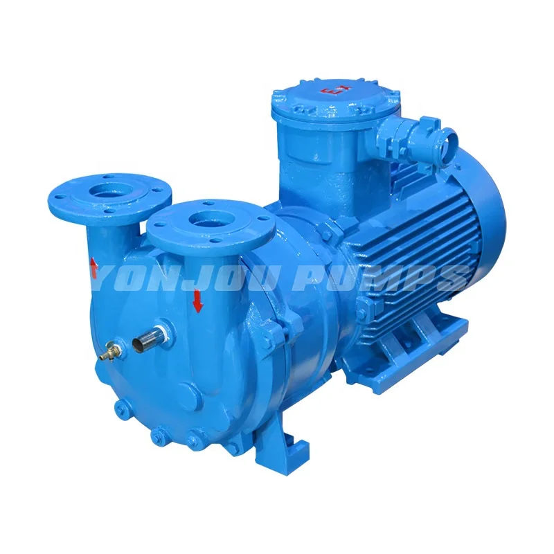 Single Stage Liquid Ring Vacuum Pump for Automotive Industry Stainless Steel Water Ring Pump with High Vacuum Performance