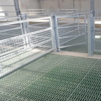 Goat Sheep Steel Structure Farmhouse