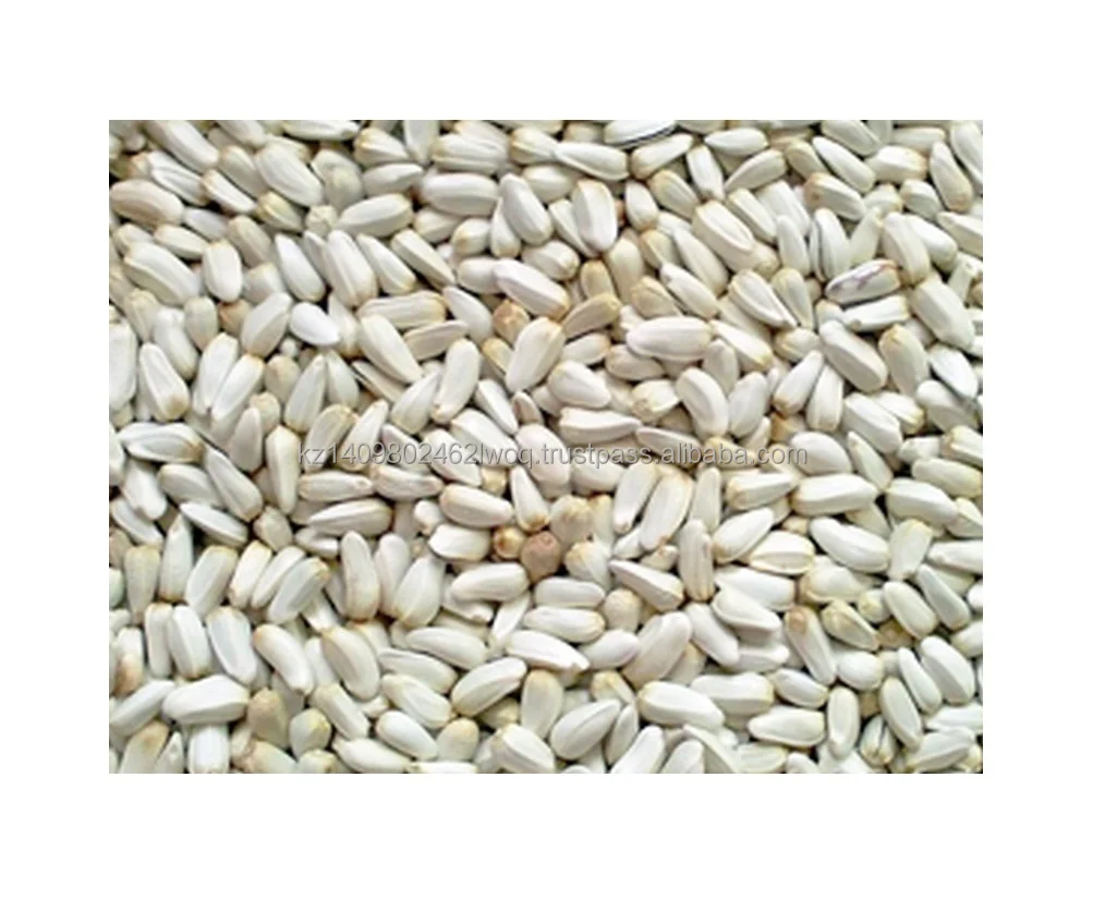 Семена сафлора Казахстан