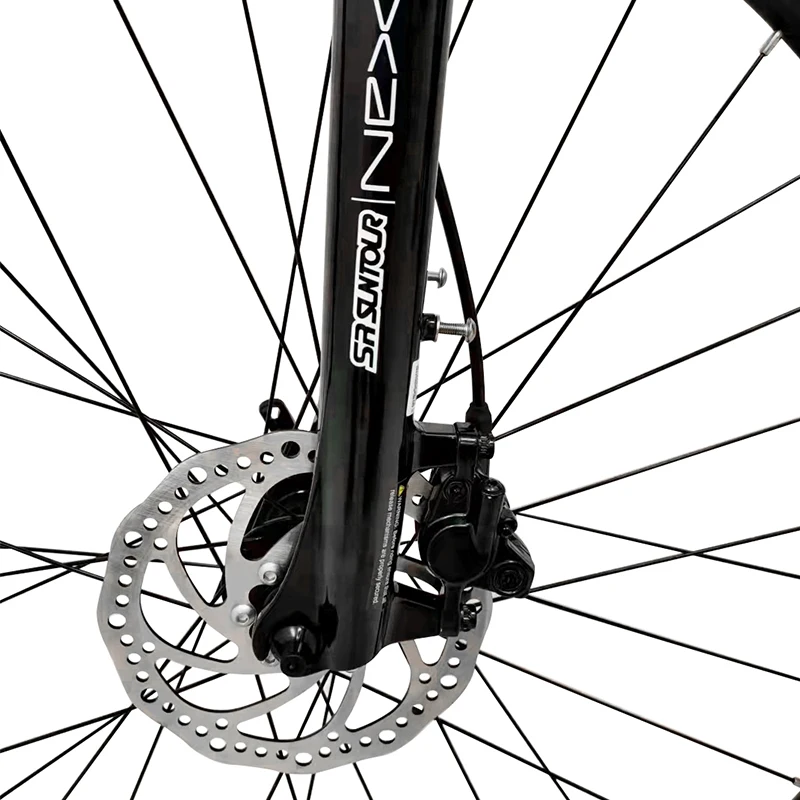 OEM 250w/350w 36V 7.8/10Ah lithium battery city electric bycicle/ebike with EN15194