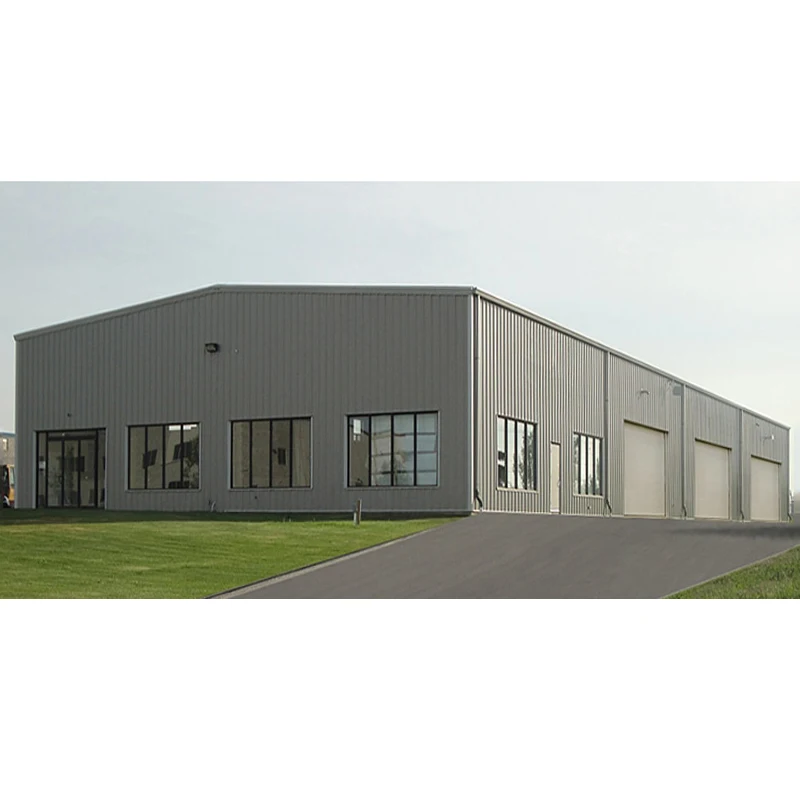 Malaysia Prefabricated Workshop Warehouse Stainless Steel Structure/Farm Building/Workshop/Warehouse