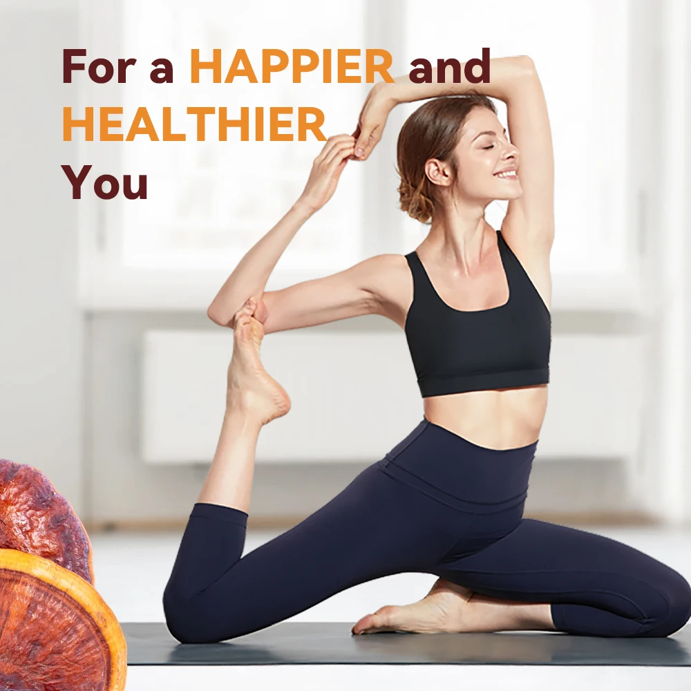 10:1 Reishi Chaga Mushroom Mix Extract Powder Turkey Tail Mushroom Powder Organic Maitake Shiitake Mushroom Blend Extract Powder