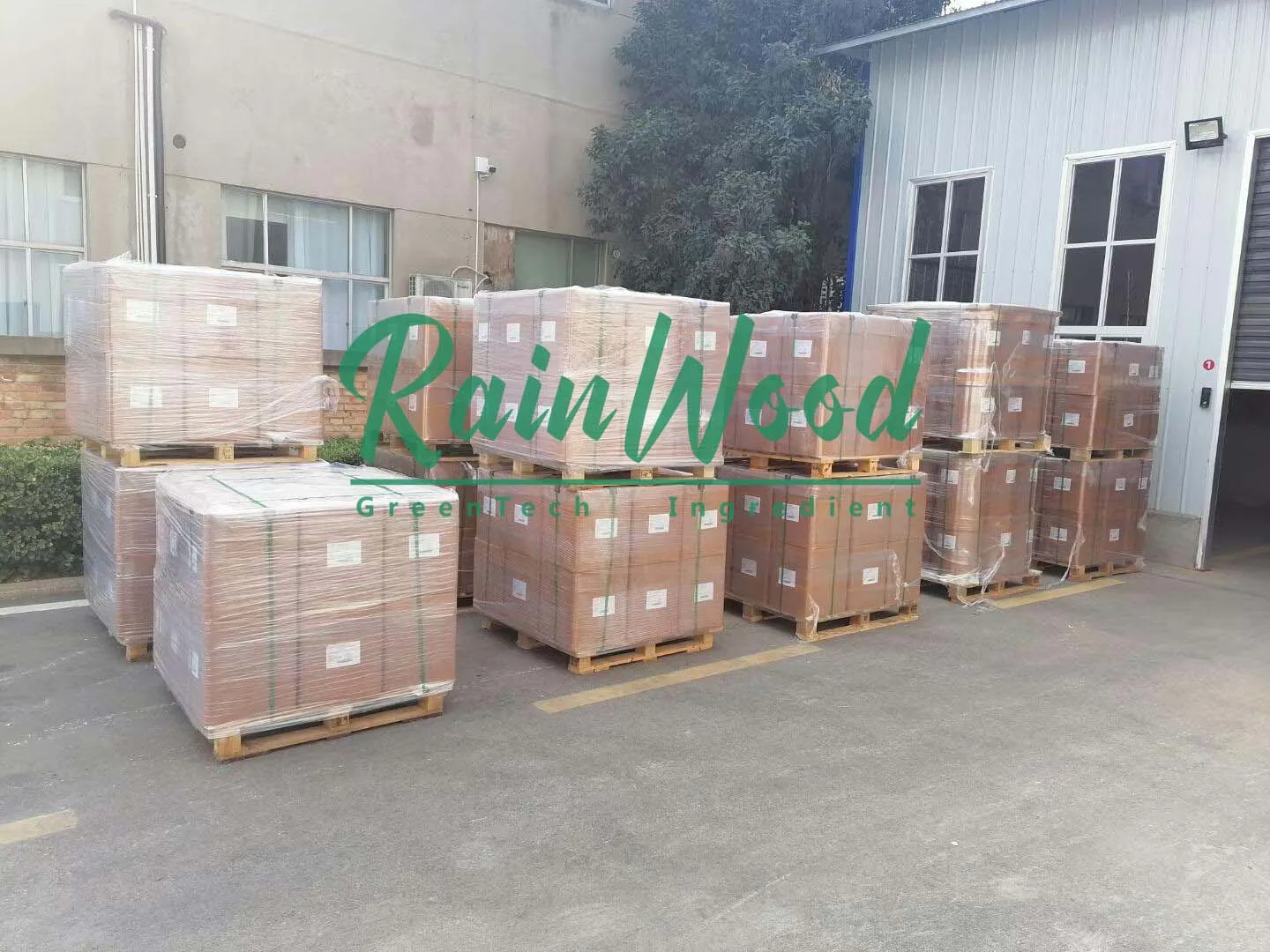 Поставка с завода Rainwood чистый натуральный декстраназ высокое качество декстраназа по оптовой цене