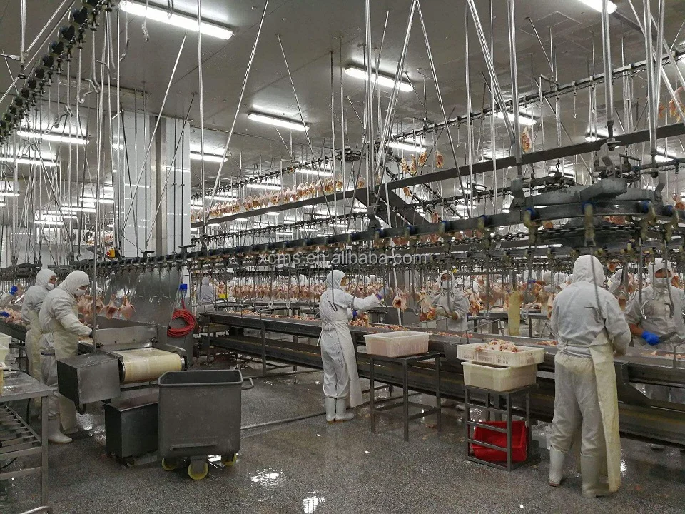 2022 hot sale Chicken Duck Goose Rabbit Pigeon turkey Poultry Processing Plant Slaughtering Equipment