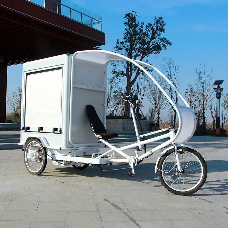 Heavy loading new design electric bicycle cargo bike adults electric tricycle 3 wheels bike three wheel bicycle cargo bike