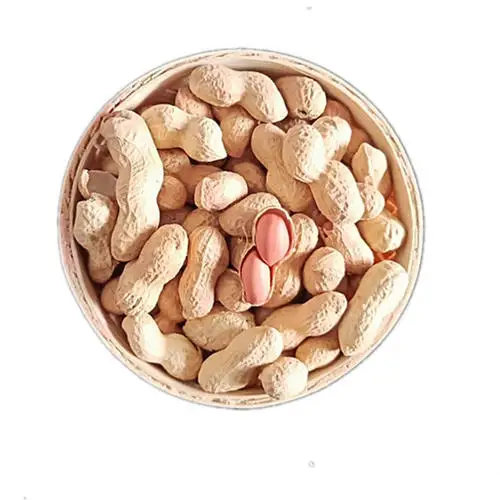 Chinese peanuts manufacturers in shell prices