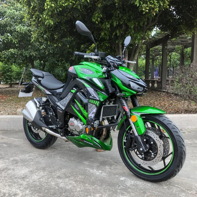 250CC Motorcycle with Oil Cooling 4 Stroke Engine Carburetor Gasoline Racing motorcycle Disc Brakes