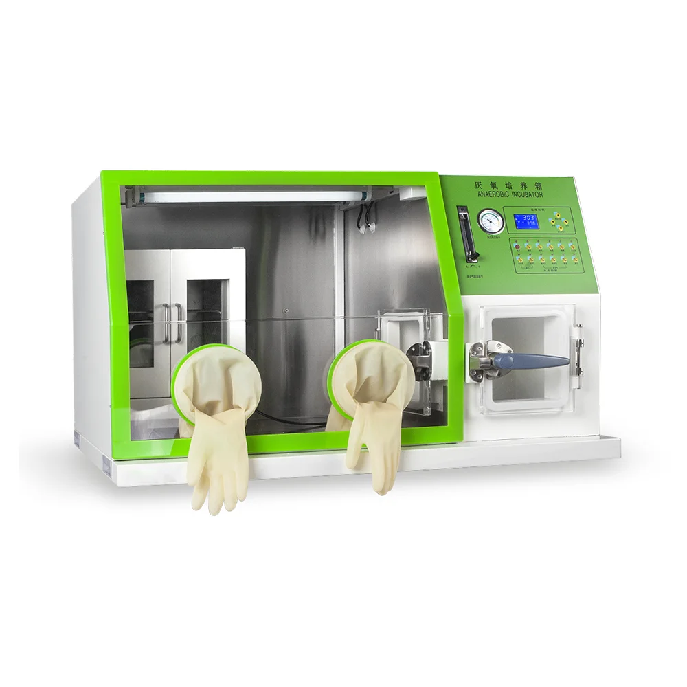 YHCHEM Purity and Safety  AB-D/3D  Anaerobic  Chamber Box in Testing Equipment for Laboratory