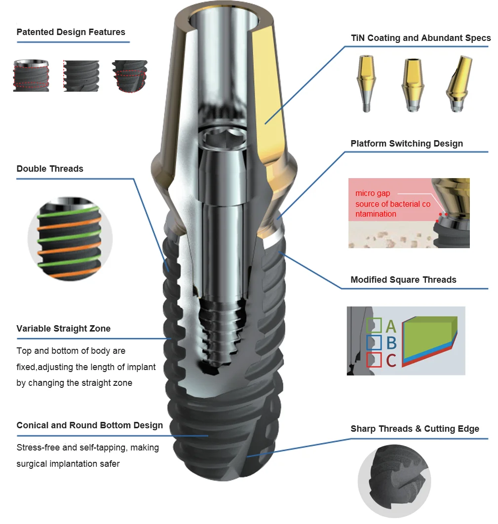 Dental Implant Fixture And Screw And Abutment Implants & Interventional Materials