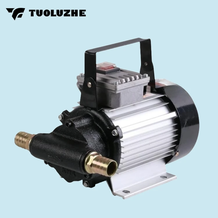 220V-750W Мощный электрический насос для заправки дизельного масла в сборе