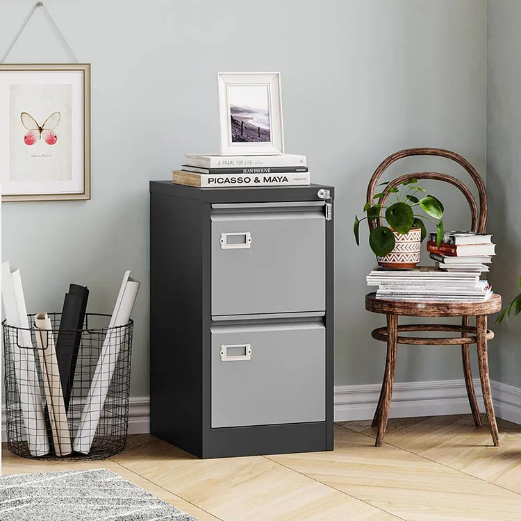 JH-Mech Home Office File Folders Storage Cabinet for Letter Legal A4 File Size 2 Drawer Metal Vertical Filing Office Cabinet