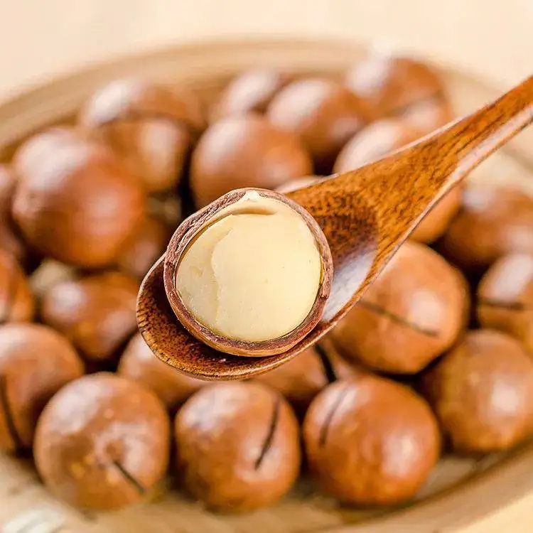 Cheap Wholesale And Raw organic chinese Macadamia nuts For Sale Tasty And Nutritional