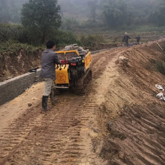 Mini Crawler Skid Steer Loader Chinese Skid Steer Loader Mini 3 Ton Dumper