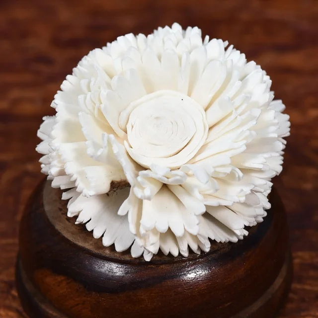 Handmade Organic Material Dried Sola Wood Flower for Reed Diffuser  Flowers For Wedding Home Party Decoration artificial flowers