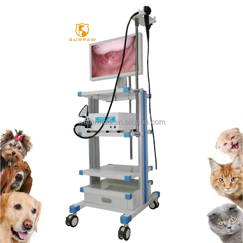 EURPAW Veterinary instrument endo scope camera system tower flexible USB mac for pet clinic