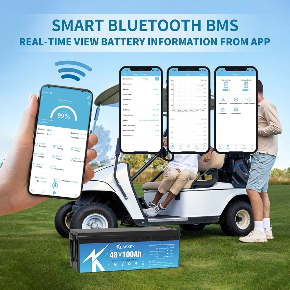 Wholesale EU stock Lifepo4 48V 100Ah 200Ah lithium ion Battery Pack 51.2 V 5KWh 10KWh Energy Storage with BMS for RV golf carts