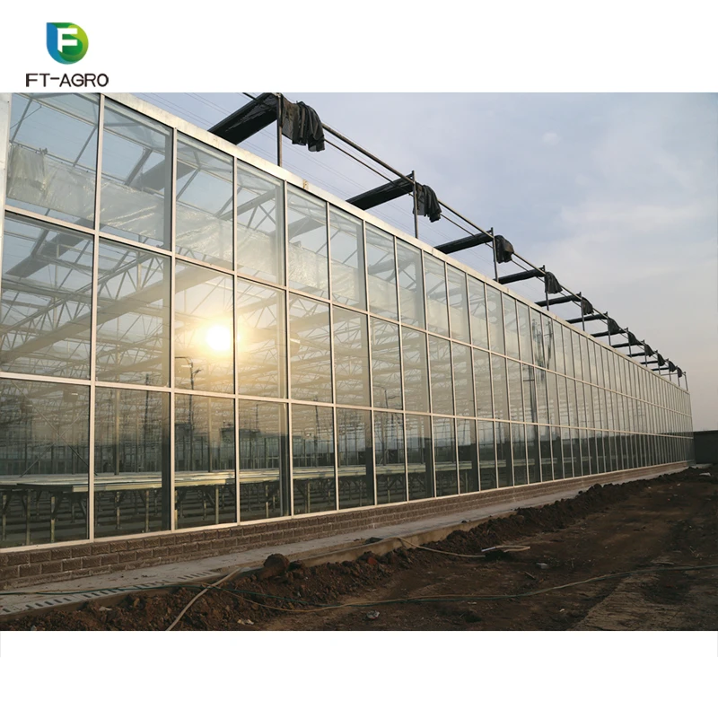 
Agriculture vegetable/flower growing glass greenhouse with hydroponic growing system bucket 
