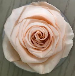 Romantic engagement Preserved rose Ring Box valentines day gifts Preserved flower ring box for valentine gifts