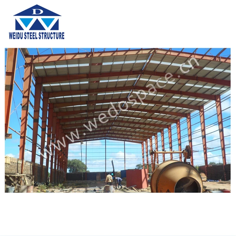 Slaughter House Processing Shed large span steel structure