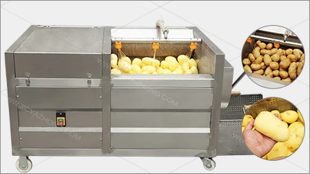 Customized plant design service fried potato chips frozen french fries production line