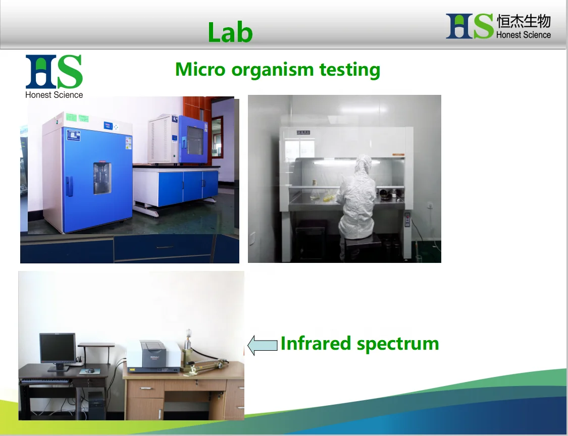 
40 60 80 mesh msm methyl sulfonyl methane 