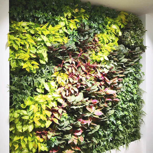 New Design Jungle Style Vertical Plants Wall Artificial Wall Hanging Plant Green uv artificial plant wall moss