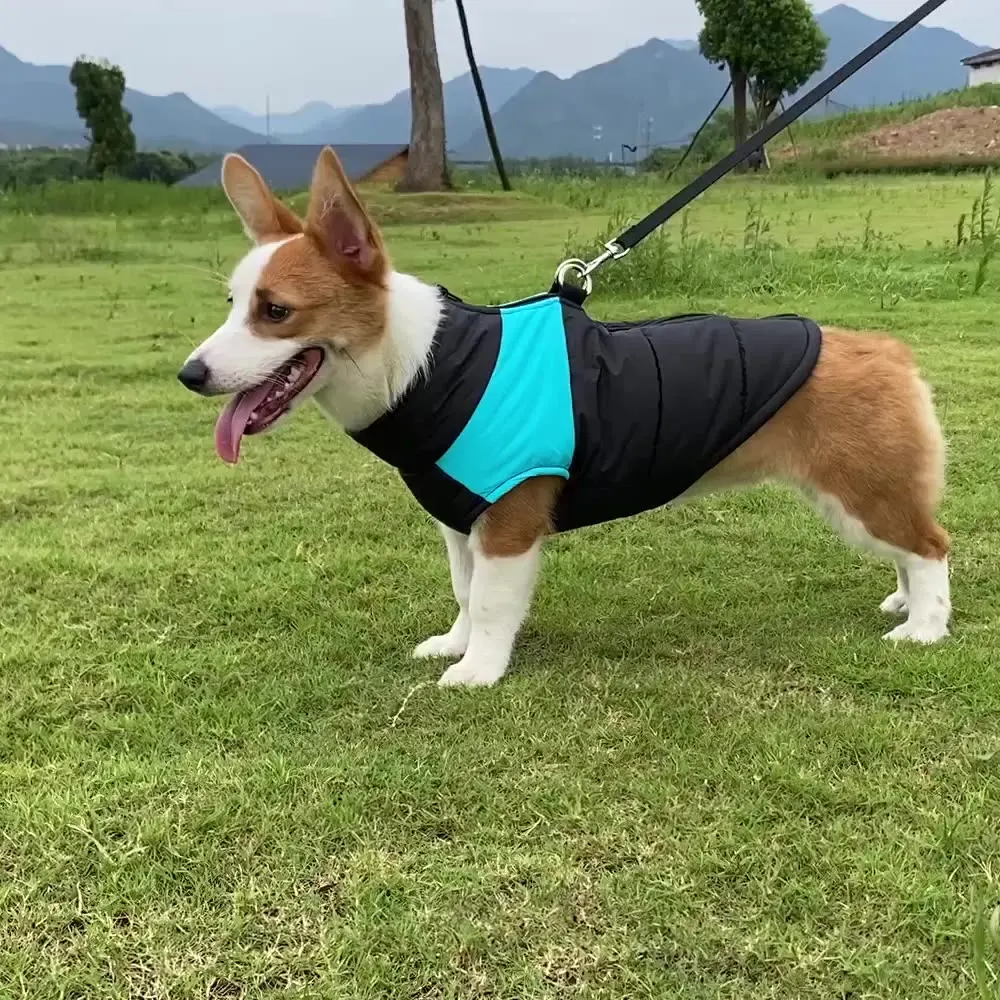 Outdoor Waterproof Windproof Sports Padded Coats Warm Pet Cloth Apparel Reflective Large Big Dog Jacket Winter Clothes