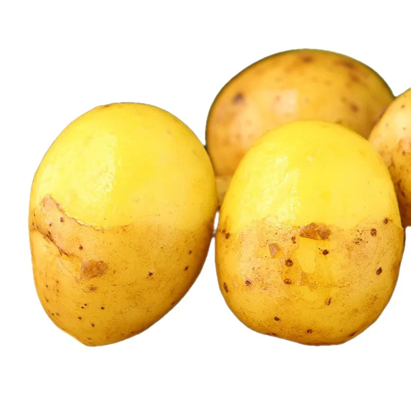 Export China quality fresh potatoes factory direct price