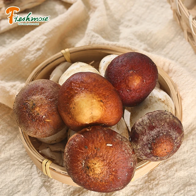 China Finc butan fresh Matsutake pine rare edible mushroom well price