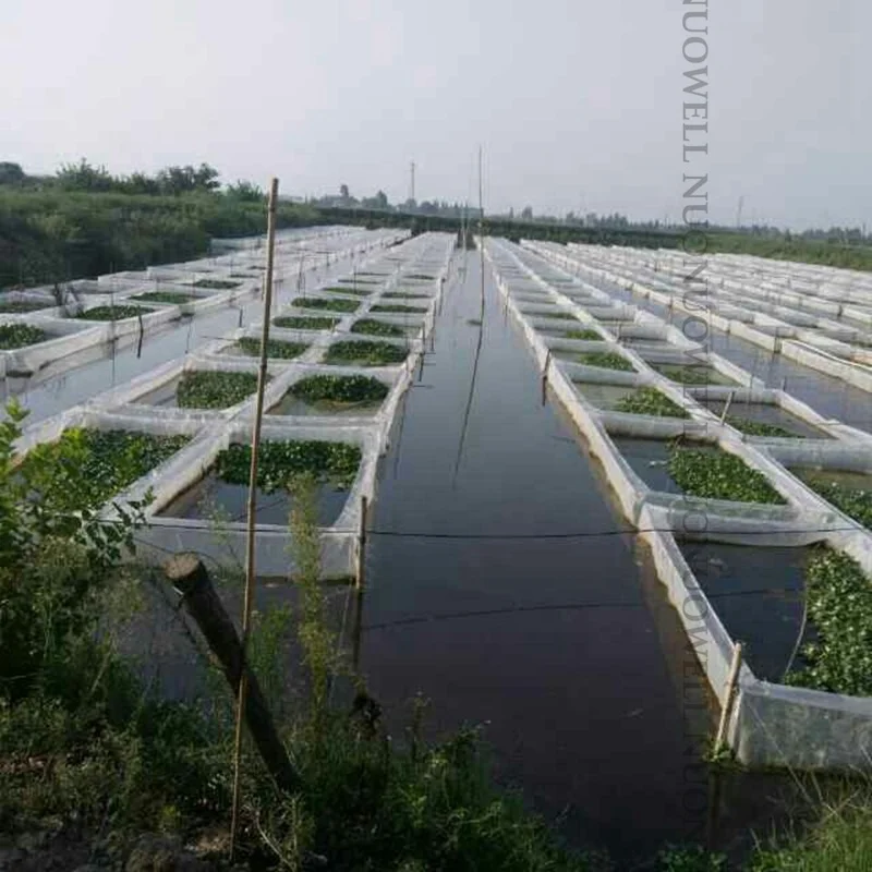 Small Mesh Catch Fish Box Aquaculture Pond Trap Fishing Gear Farming Net Cage Square Aquarium Trap Gill