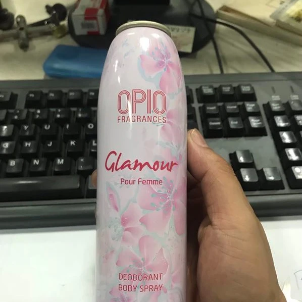 OEM customized Empty metal tin cans/aerosol cans for cleaner