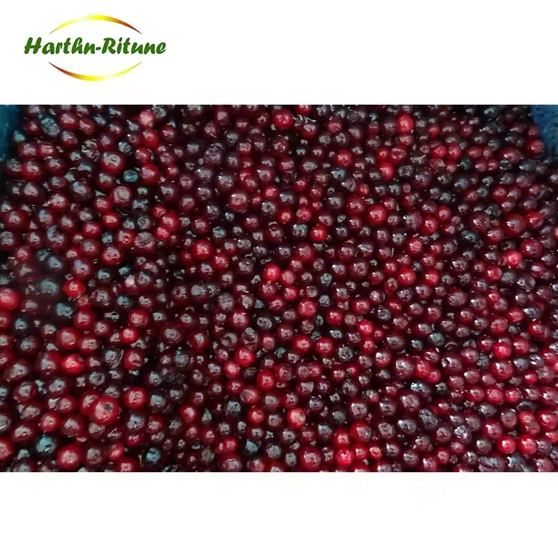Wholesale Price Frozen fruit IQF Frozen Lingonberry for sale