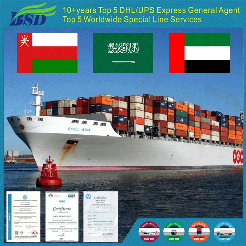Tuowei-Bsd Sea Freight Freight Forwarder China To Saudi Arabia ksa Qatar Kuwait uae shipping agent