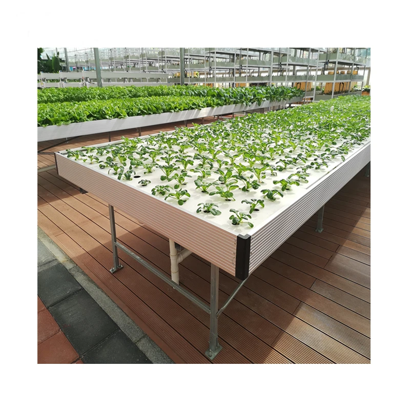 Hydroponics System Seeds Growing Tray in Aeroponic Garden Microgreens Tray