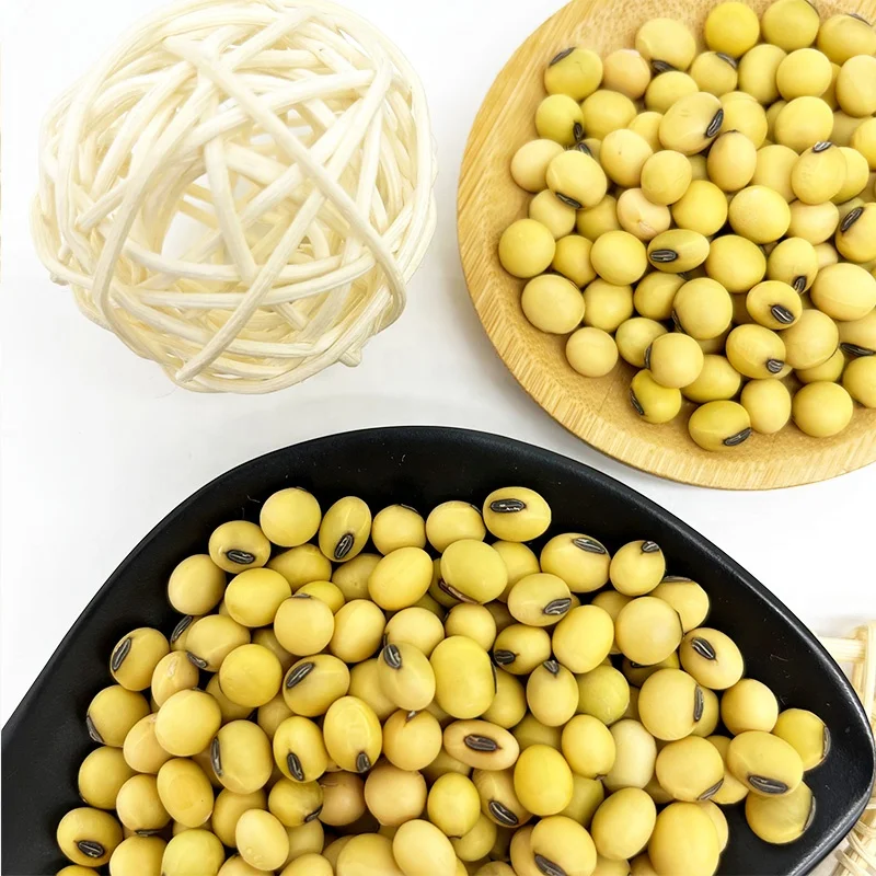 Высококачественные соевые бобы сырые зерна в пакетах органические насыпные семена для еды