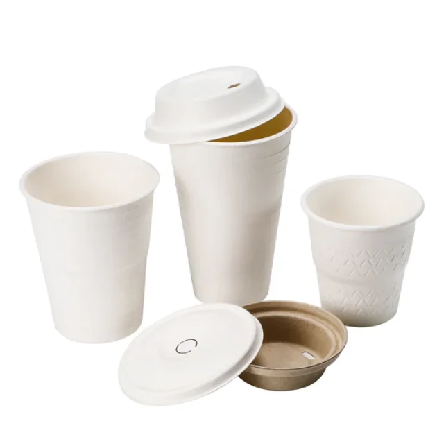 Eco Friendly Biodegrad Sugarcane Bagasse Coffee Cup Custom Disposable and Compostable Cups for Party