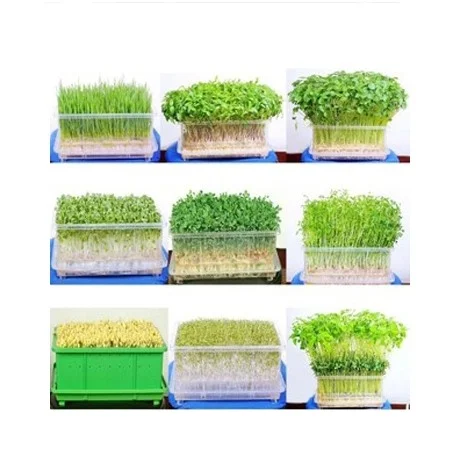 Modern Vertical Farming for Agriculture Greenhouse Farm for Lettuce/Herbs/Strawberry/Tomato/Leafy Vegetables/