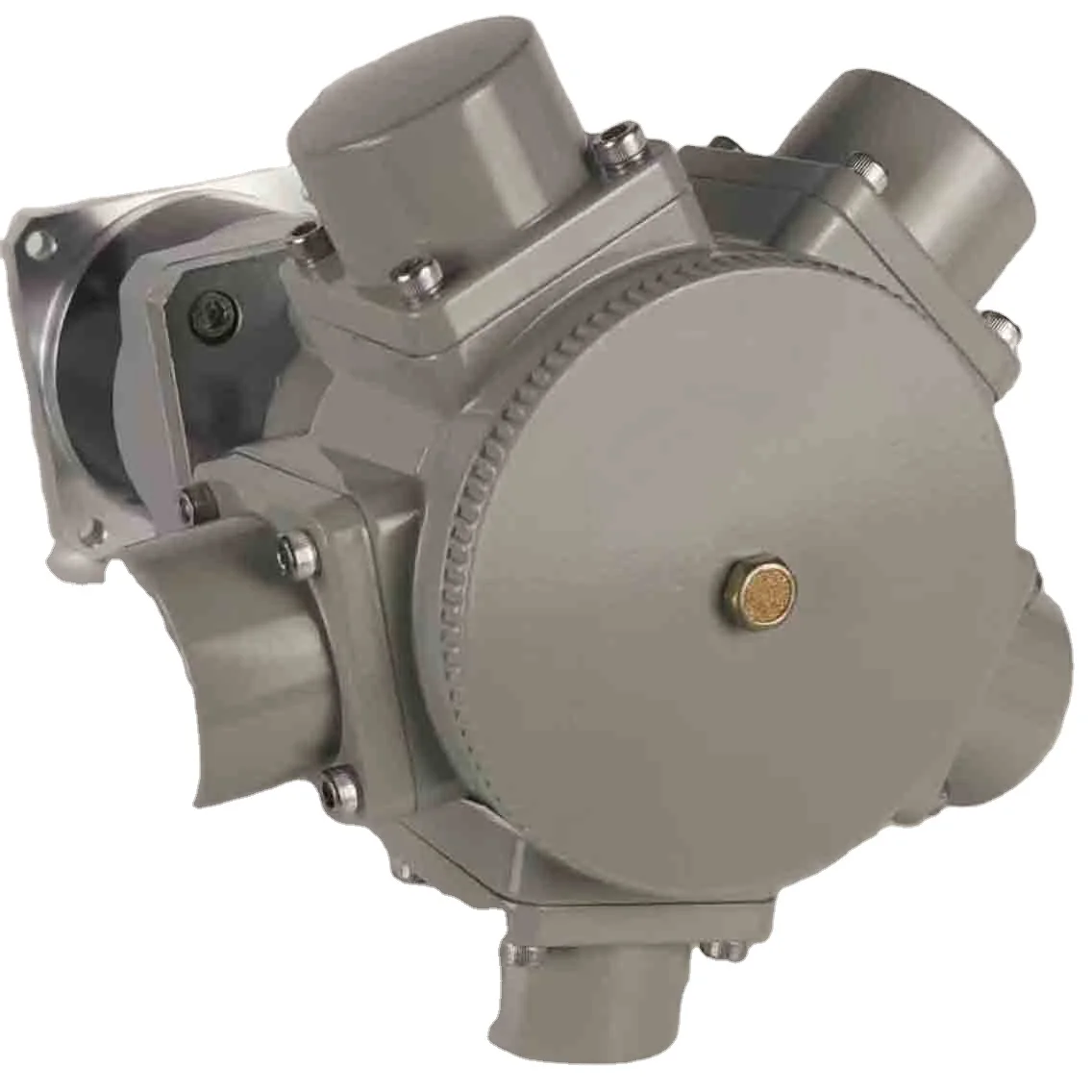 AM5 G1/3 0.5HP Air Motors/pneumatic Motor